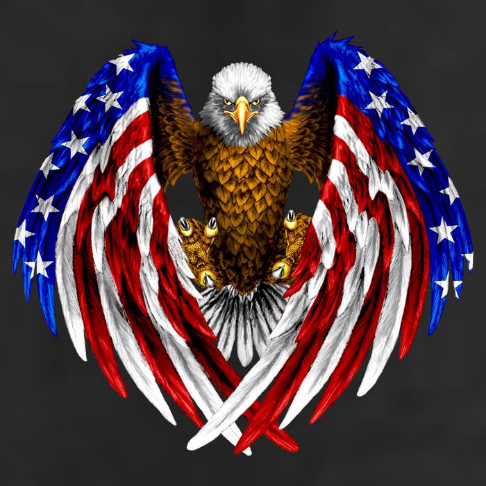 American Flag Eagle Adult Drive Performance Visor