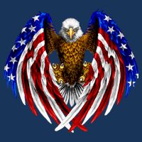 American Flag Eagle Cooling Performance Crew T-Shirt