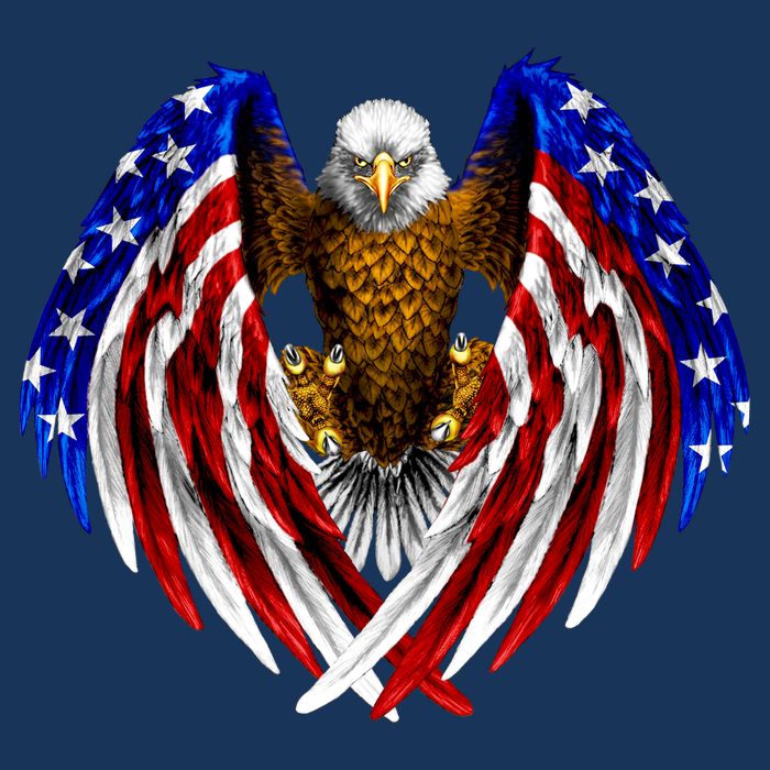 American Flag Eagle Cooling Performance Crew T-Shirt