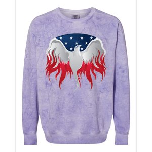 American Flag Eagle USA Illustration Colorblast Crewneck Sweatshirt