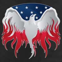 American Flag Eagle USA Illustration 7 Panel Mesh Trucker Snapback Hat