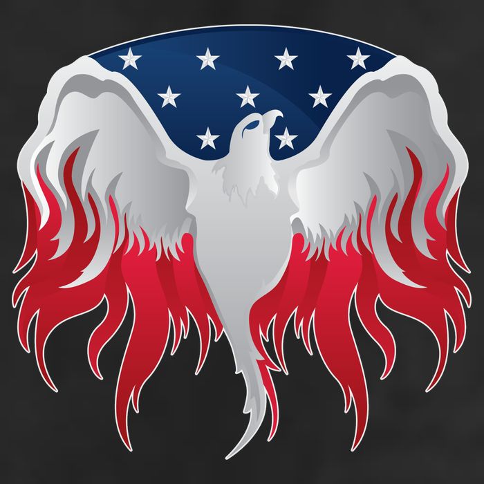 American Flag Eagle USA Illustration 7 Panel Mesh Trucker Snapback Hat