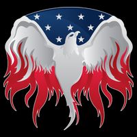 American Flag Eagle USA Illustration City Backpack