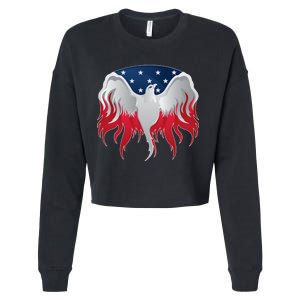 American Flag Eagle USA Illustration Cropped Pullover Crew