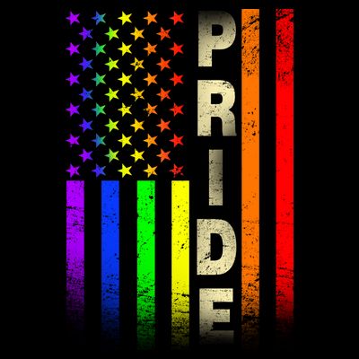 American Gay Pride Rainbow Flag T-Shirt