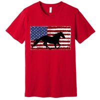 American Horse Flag Vintage Premium T-Shirt