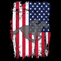 American Horse Racing Flag Bucket Hat