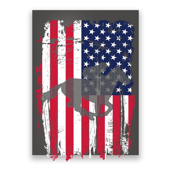 American Horse Racing Flag Poster