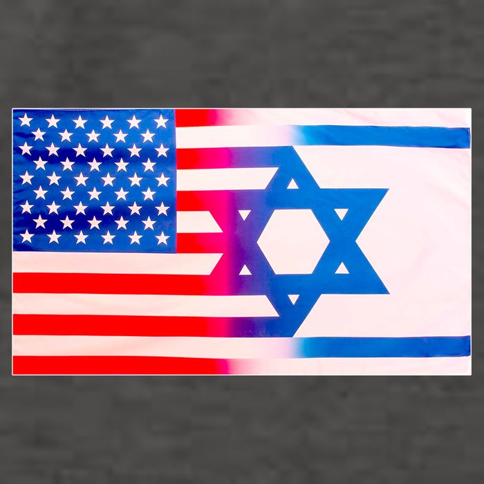 American Israel Flag Vector Backpack