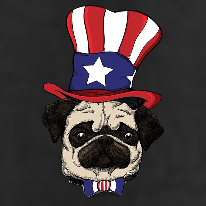 American Patriotic Pug 11oz C Handle Ceramic Mug