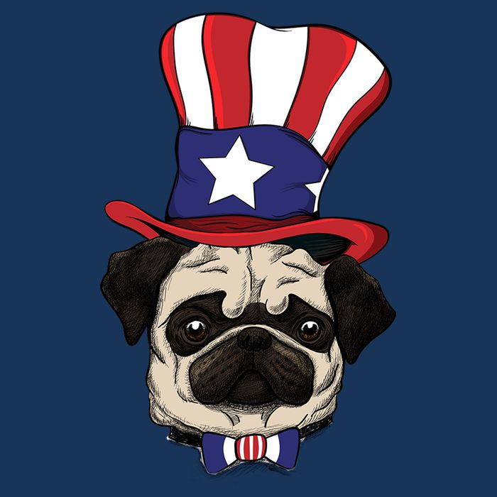American Patriotic Pug T-Shirt