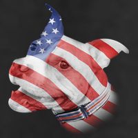 American Pitbull Adult Drive Performance Visor