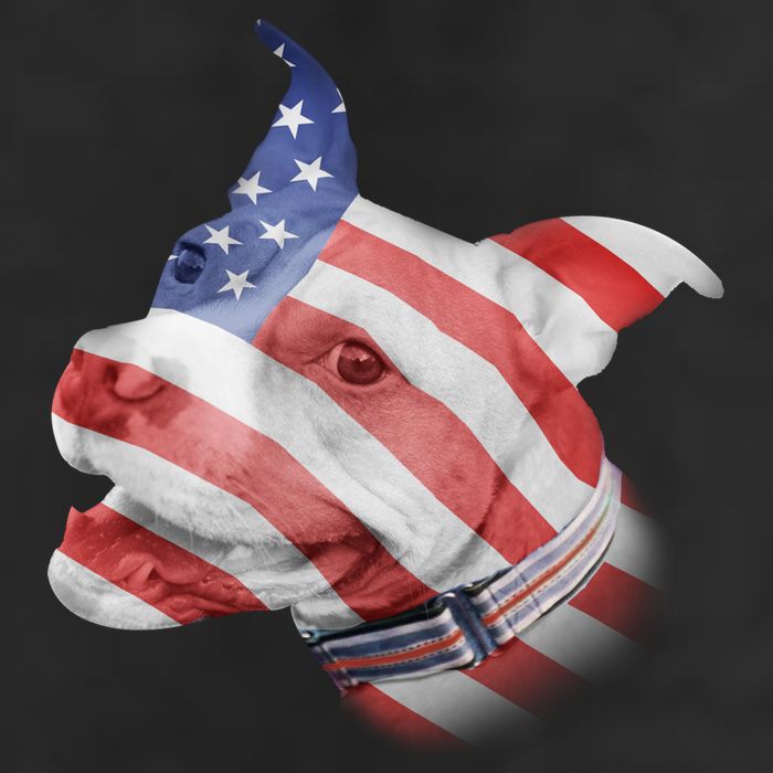 American Pitbull Adult Drive Performance Visor
