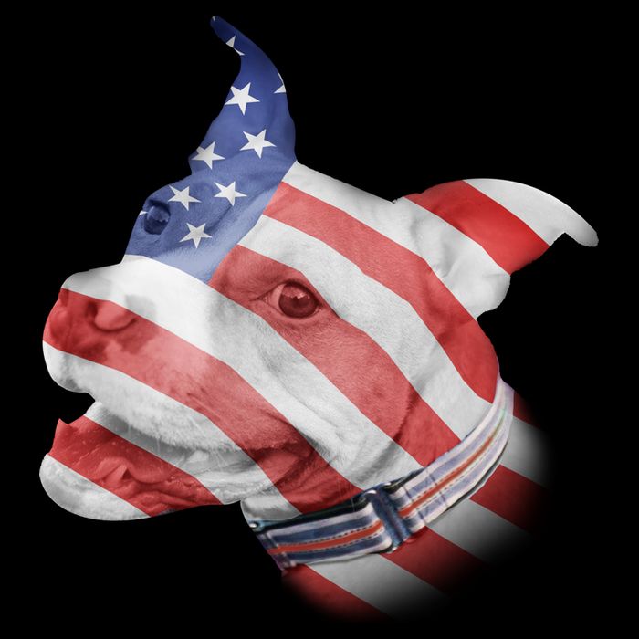 American Pitbull Bag