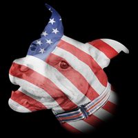 American Pitbull Zip Tote Bag