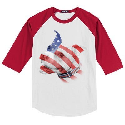 American Pitbull Kids Colorblock Raglan Jersey