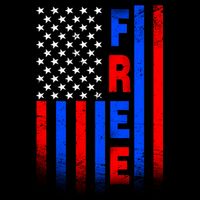 American Pride Freedom Flag 16 in Basic Backpack