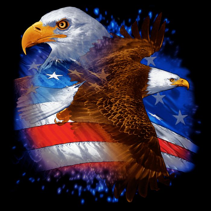 American Pride Soaring Eagle USA City Backpack