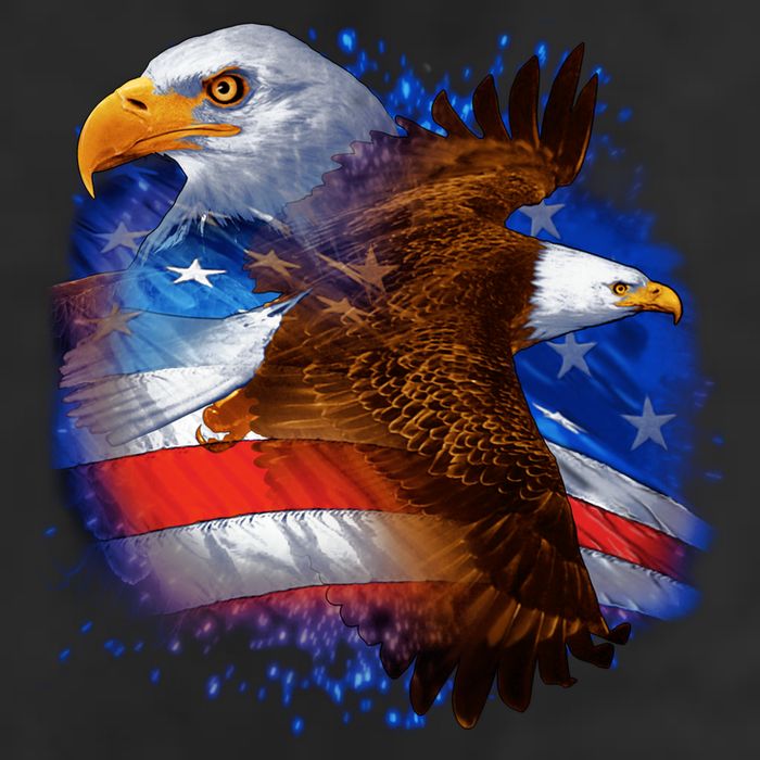 American Pride Soaring Eagle USA 11oz C Handle Ceramic Mug