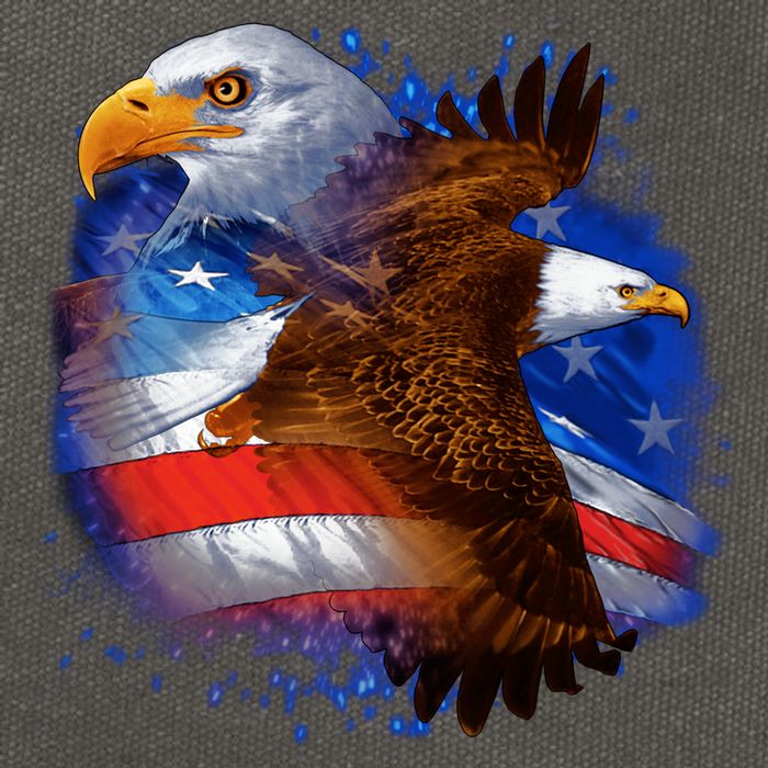 American Pride Soaring Eagle USA Cotton Canvas Backpack