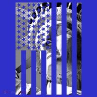 American Statue Of Liberty Flag Women's V-Neck T-Shirt