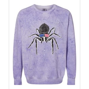 American Tarantula Spider Colorblast Crewneck Sweatshirt