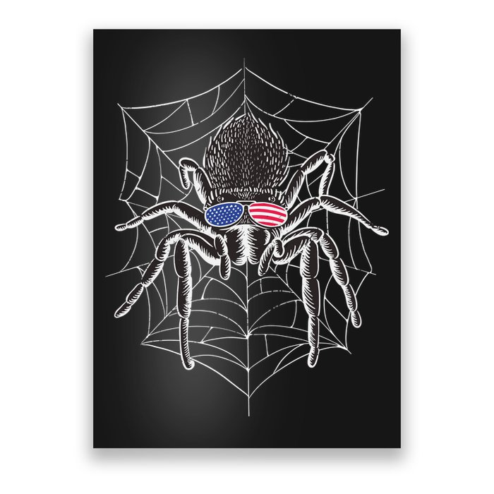 American Tarantula Spider Poster