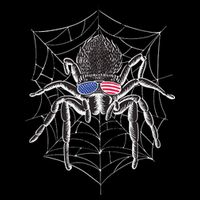 American Tarantula Spider Poster