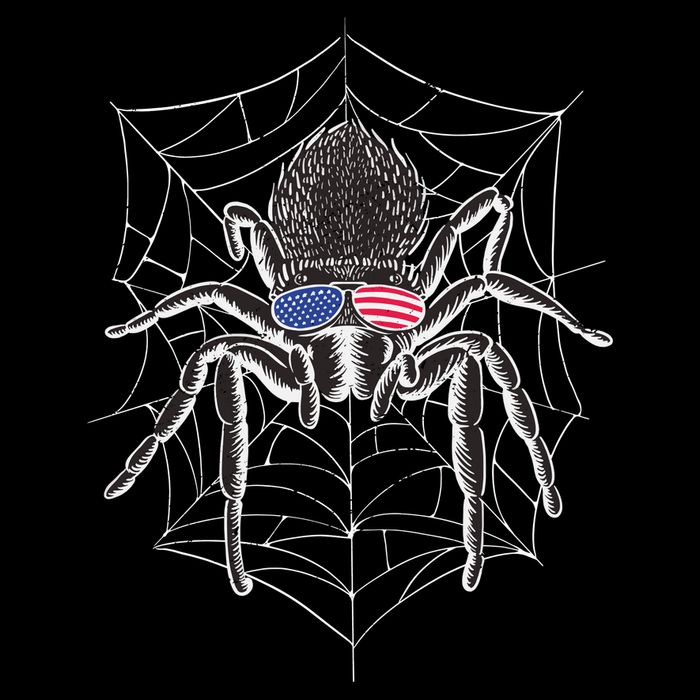 American Tarantula Spider Poster