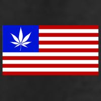 American USA Weed Flag 7 Panel Mesh Trucker Snapback Hat