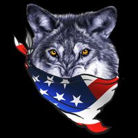 American Wolf USA Bandanna Sweatshirt