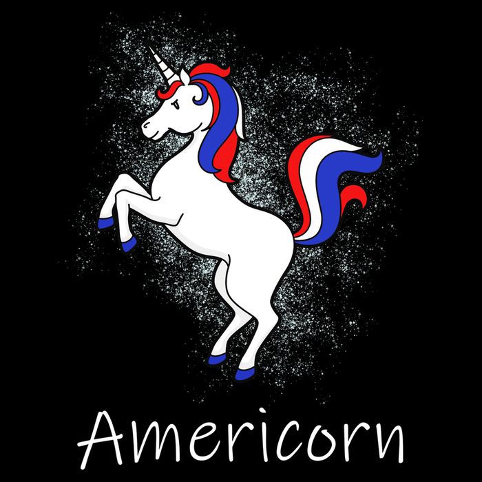 Americorn Visor