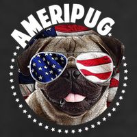 Ameripug Adult Drive Performance Visor