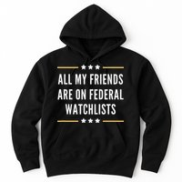 All My Friends Are On Federal Watchlists Hoodie