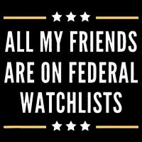 All My Friends Are On Federal Watchlists 7-Panel Snapback Hat