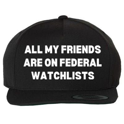 All My Friends Are On Federal Watch Lists Funny Quote Wool Snapback Cap