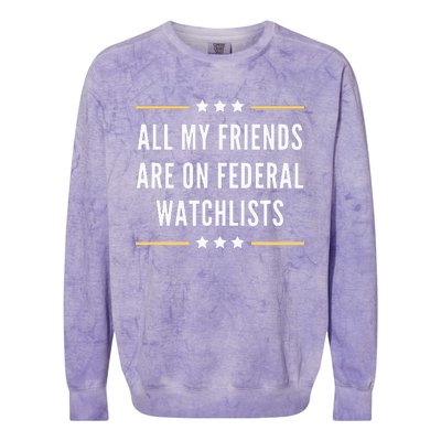 All My Friends Are On Federal Watchlists Colorblast Crewneck Sweatshirt