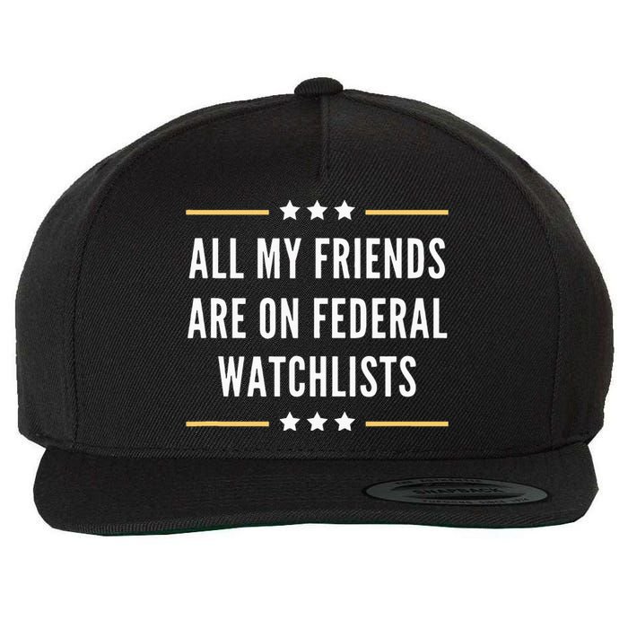 All My Friends Are On Federal Watchlists Wool Snapback Cap