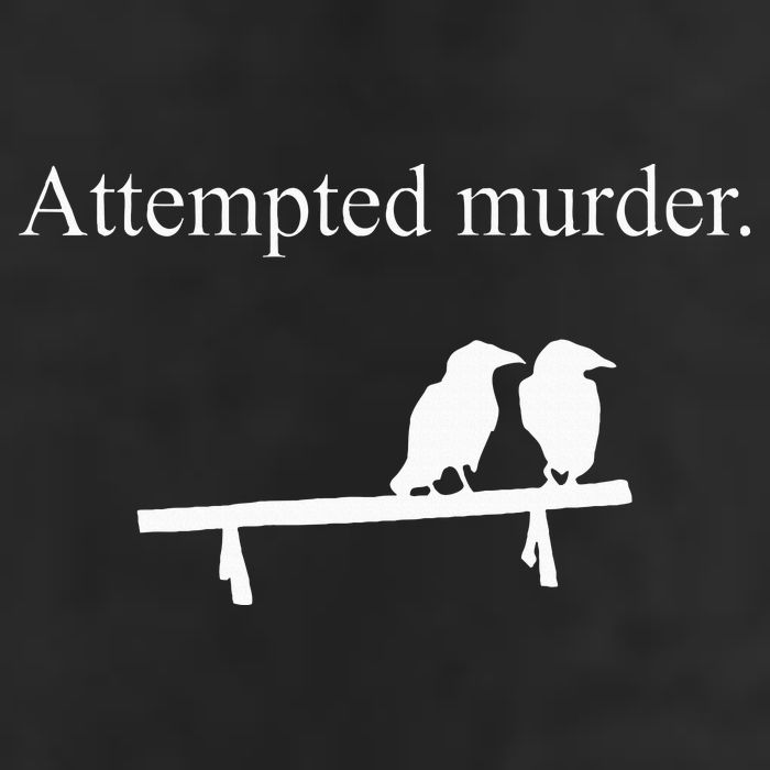 Attempted Murder Funny Sarcasm Crows Ornithology Beanie