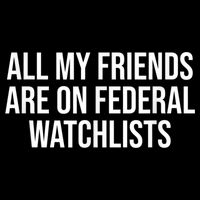 All My Friends Are On Federal Watch Lists Funny Sarcastic Button