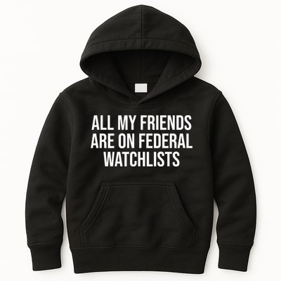 All My Friends Are On Federal Watch Lists Funny Sarcastic Kids Hoodie