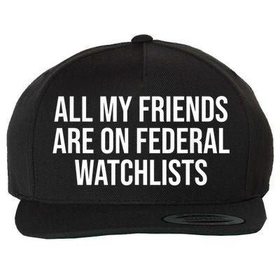 All My Friends Are On Federal Watch Lists Funny Sarcastic Wool Snapback Cap