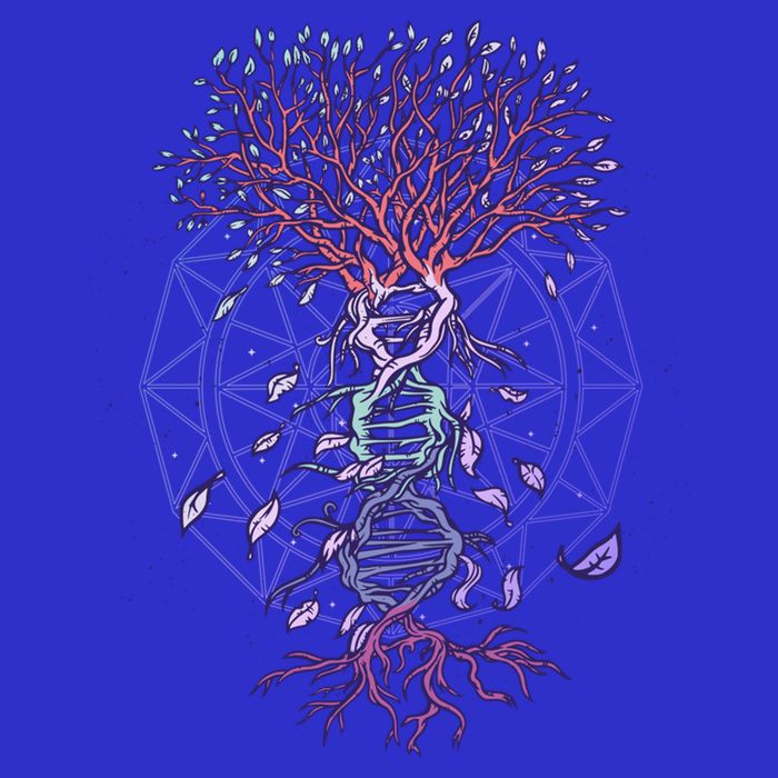 Abstract Madala Geometric Dna Tree Life Gift Esoteric Geometry Gift Stripe Pom Pom Beanie