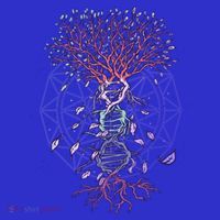 Abstract Madala Geometric Dna Tree Life Gift Esoteric Geometry Gift Womens T-Shirt
