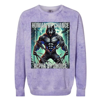 Alpha Male Human By Chance Alpha By Choice Alpha Wolf Colorblast Crewneck Sweatshirt