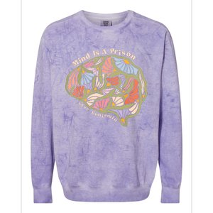 Alec Mind Is A Prison Benjamin Colorblast Crewneck Sweatshirt