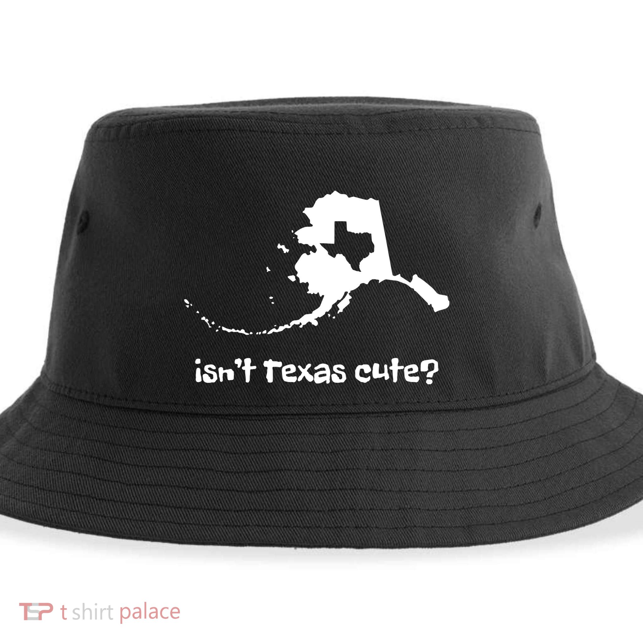 Alaska Map Isnt Texas Cute Funny Design Sustainable Bucket Hat
