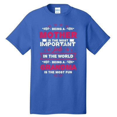 A Mother Is The Most Important Job In The World Mom Mommy Cute Gift Tall T-Shirt