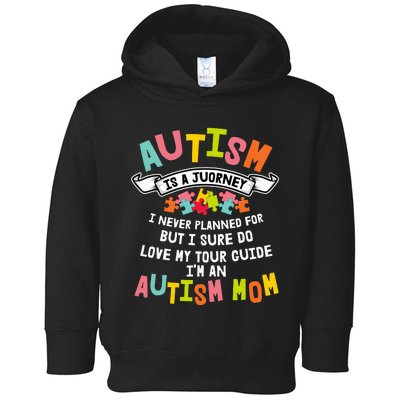 Autism Mom Matching Family Autism Awareness Gifts Toddler Hoodie