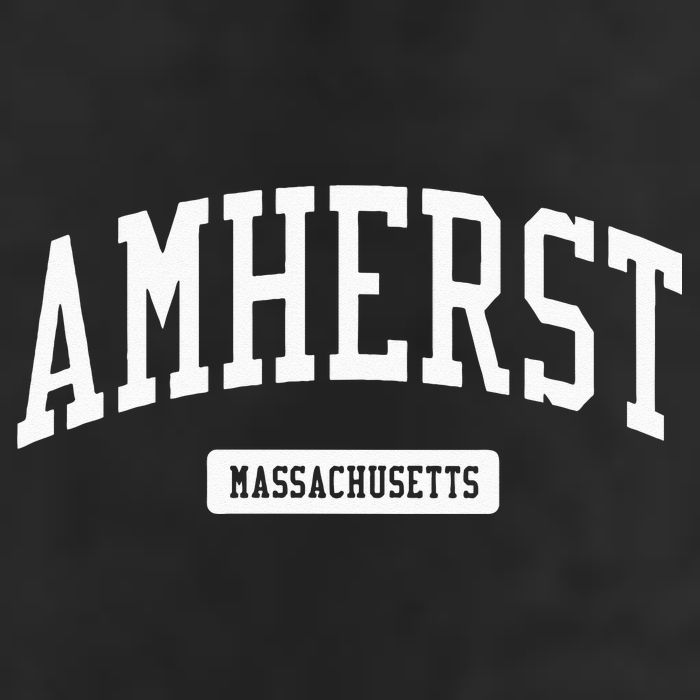 Amherst Massachusetts MA College University Sports 11oz C Handle Ceramic Mug